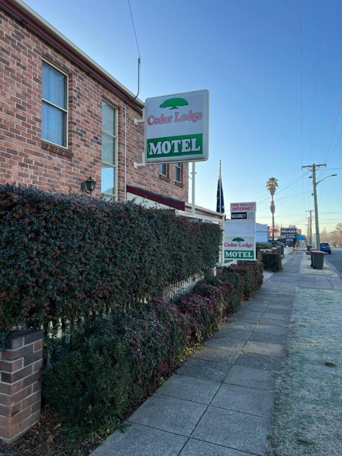 Cedar Lodge Motel Armidale Exterior foto